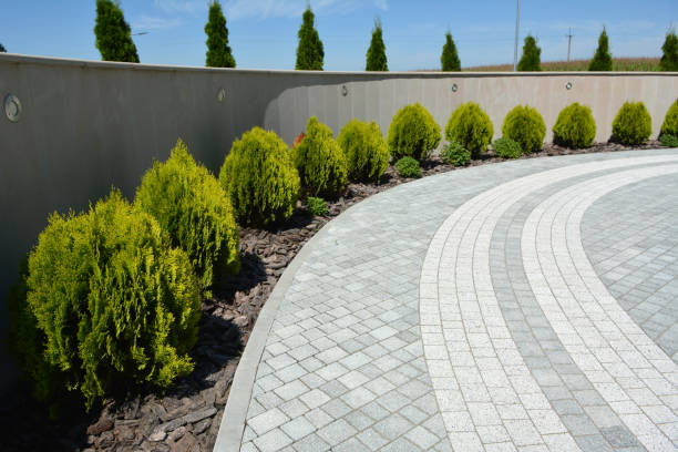 Best Driveway Pavers Near Me  in Clayton, DE